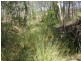 lot 53 Goodwood Road, Redridge QLD 4660