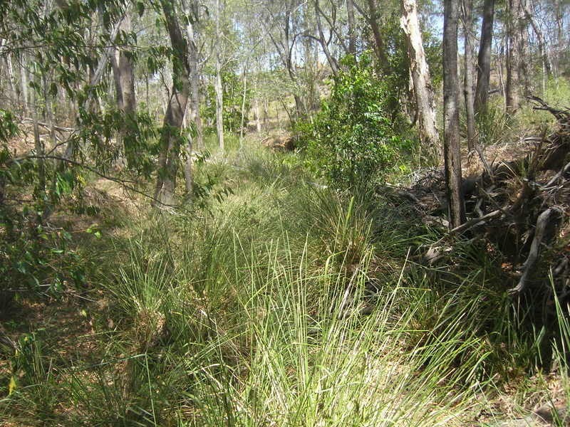 lot 53 Goodwood Road, Redridge QLD 4660