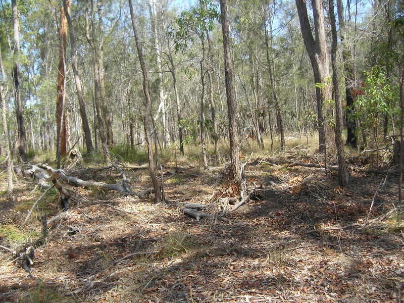 lot 53 Goodwood Road, Redridge QLD 4660