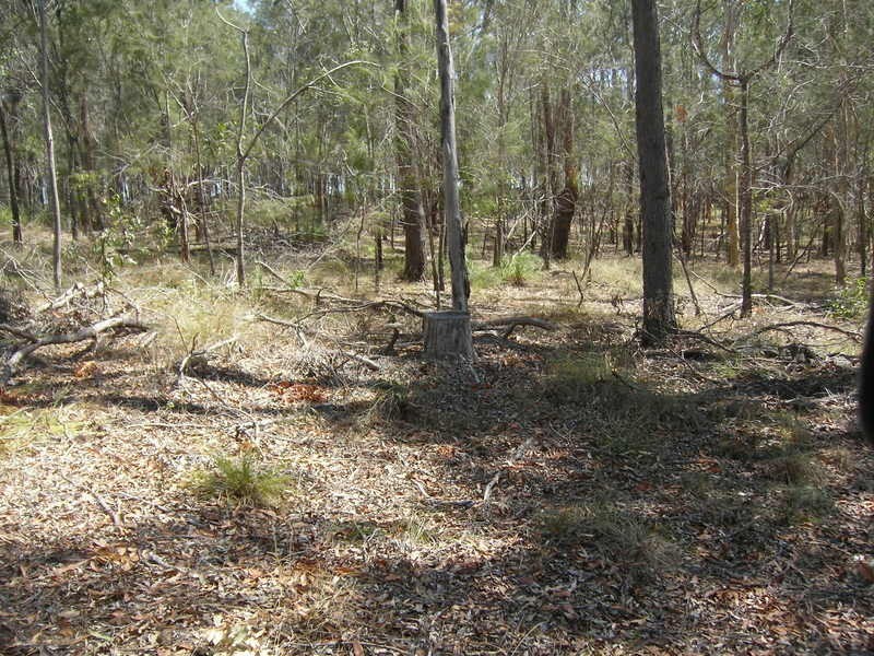 lot 53 Goodwood Road, Redridge QLD 4660