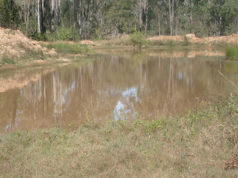 219 Inskips Road, Wallaville QLD 4671