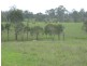 731 Eureka Station Road, Eureka QLD 4660