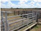 731 Eureka Station Road, Eureka QLD 4660