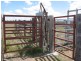 731 Eureka Station Road, Eureka QLD 4660