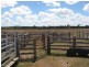 731 Eureka Station Road, Eureka QLD 4660