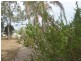 27 Isis Street, Buxton QLD 4660