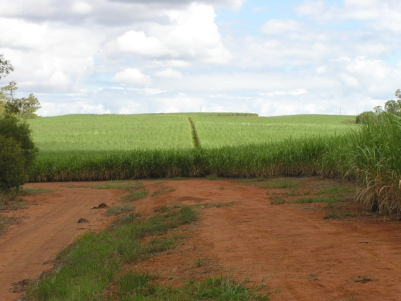 297 Marule Road, Booyal QLD 4671