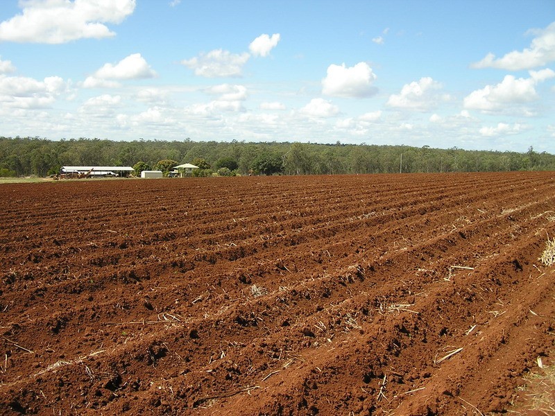 297 Marule Road, Booyal QLD 4671