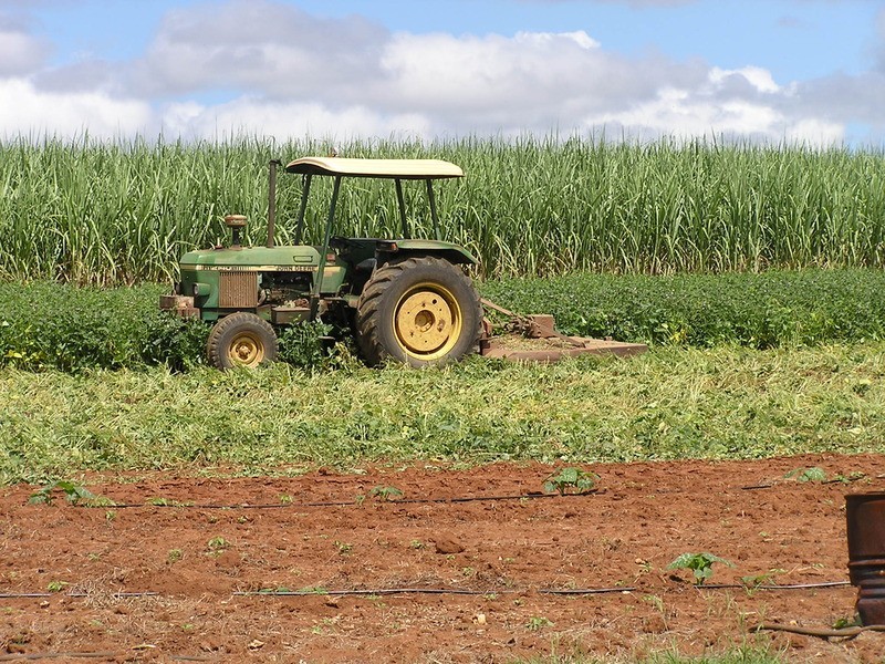 297 Marule Road, Booyal QLD 4671