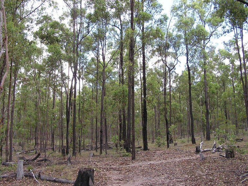 297 Marule Road, Booyal QLD 4671