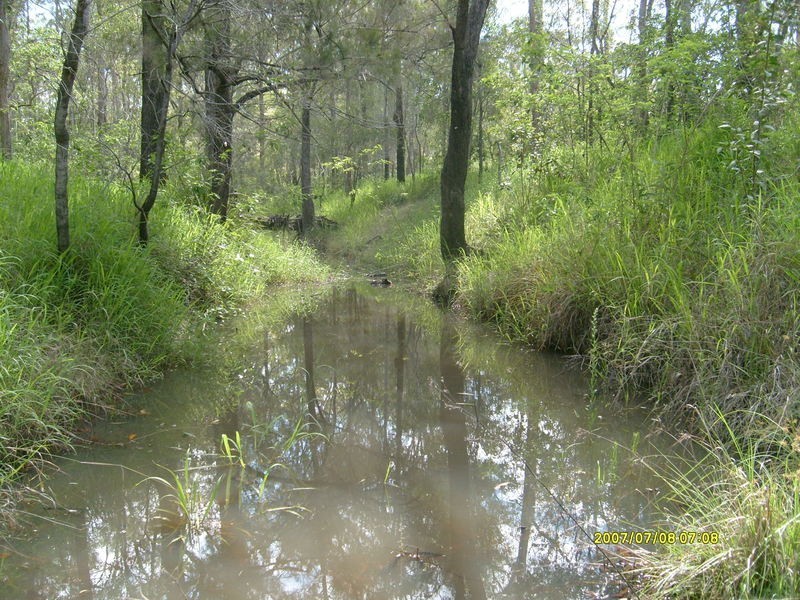 278 Mount Goonaneman Road, Dallarnil QLD 4621