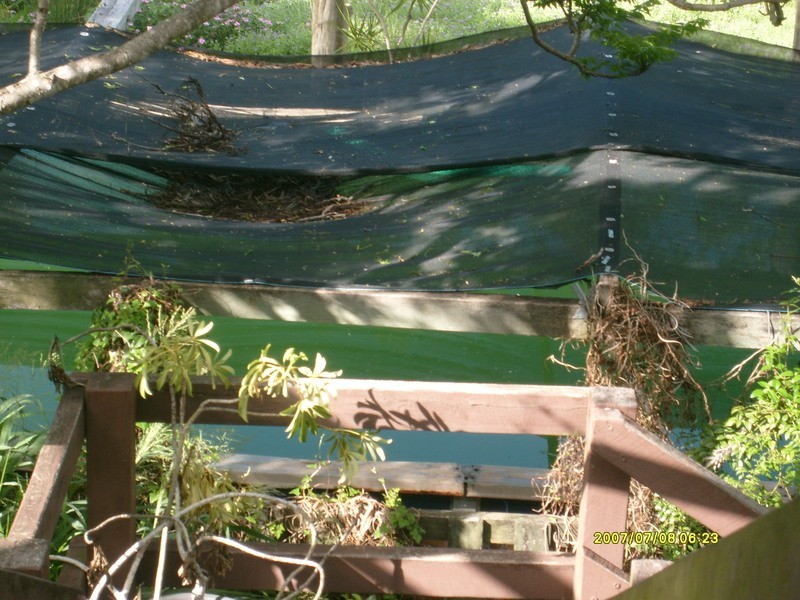 278 Mount Goonaneman Road, Dallarnil QLD 4621