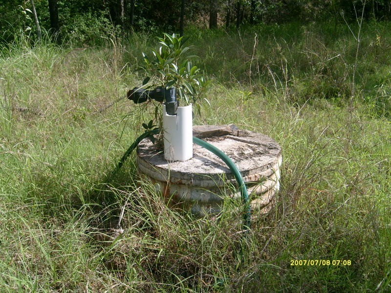 278 Mount Goonaneman Road, Dallarnil QLD 4621