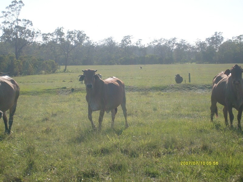 0 Warrah Road, Howard QLD 4659