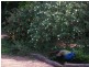 106 Gelsominos Road, Childers QLD 4660