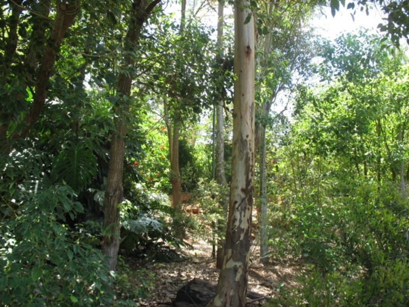 7 Delaney Court, Childers QLD 4660