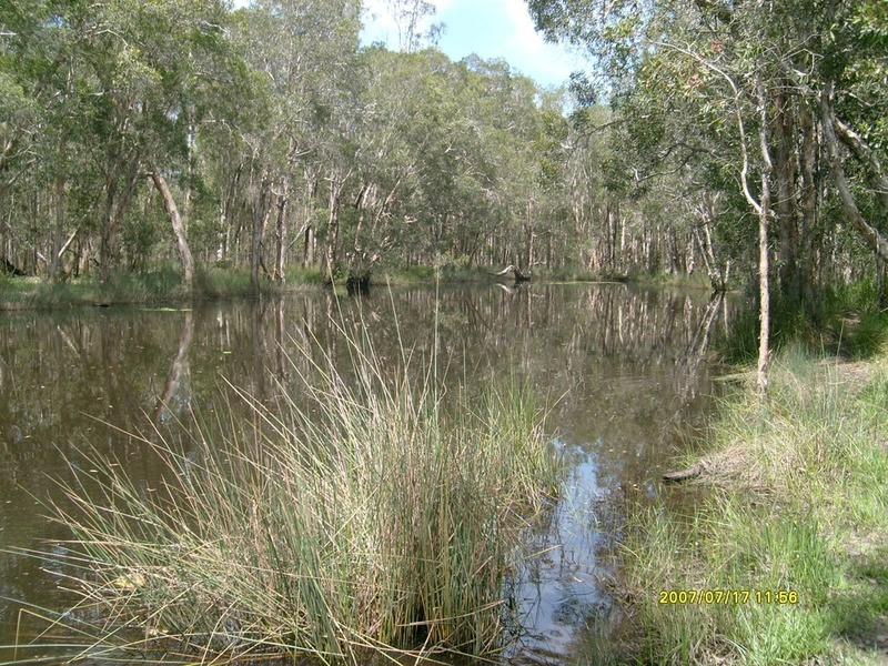 0 Ross Camp Road, Childers QLD 4660