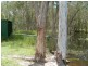 0 Ross Camp Road, Childers QLD 4660