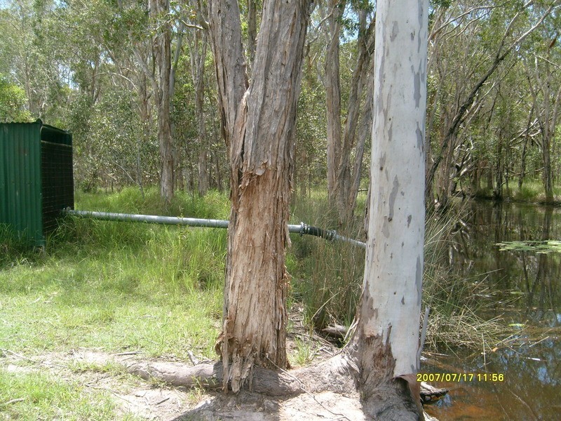 0 Ross Camp Road, Childers QLD 4660