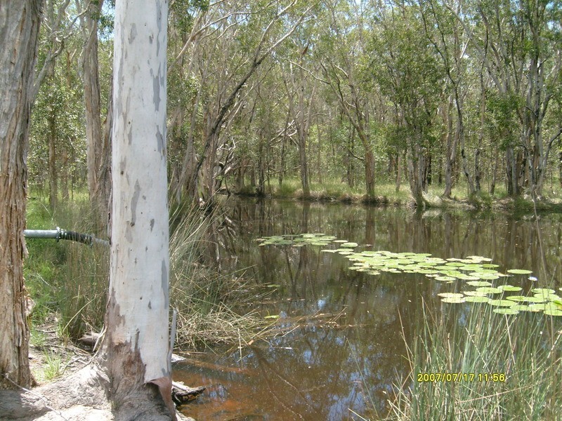 0 Ross Camp Road, Childers QLD 4660