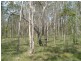 0 Ross Camp Road, Childers QLD 4660