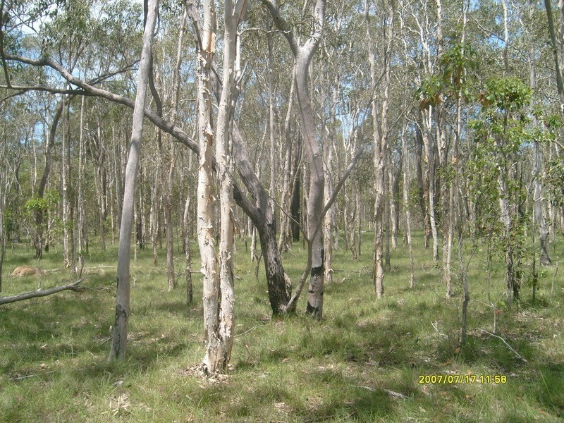 0 Ross Camp Road, Childers QLD 4660