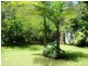 18 Anderson Street, Apple Tree Creek QLD 4660