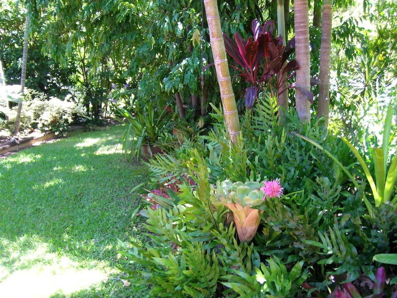 18 Anderson Street, Apple Tree Creek QLD 4660