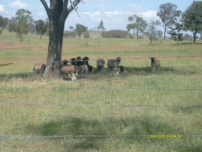 1095 Gigoomgan Road, Brooweena QLD 4620