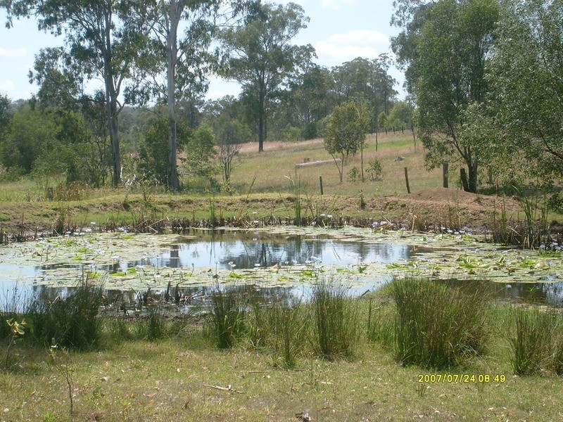 1095 Gigoomgan Road, Brooweena QLD 4620