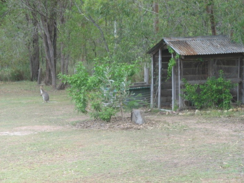 22 Jacksons Road, Childers QLD 4660