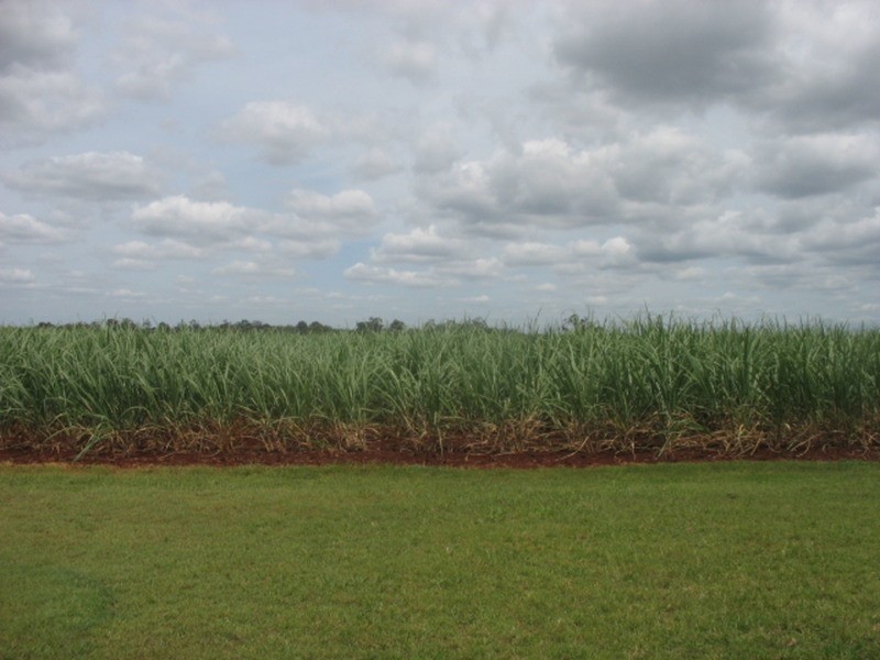 105 Madsens Road, Isis Central QLD 4660