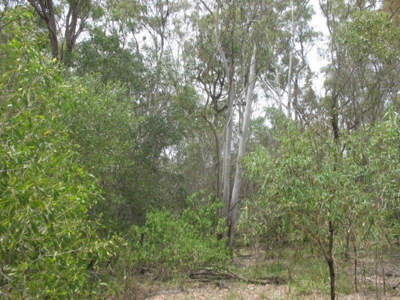 105 Madsens Road, Isis Central QLD 4660