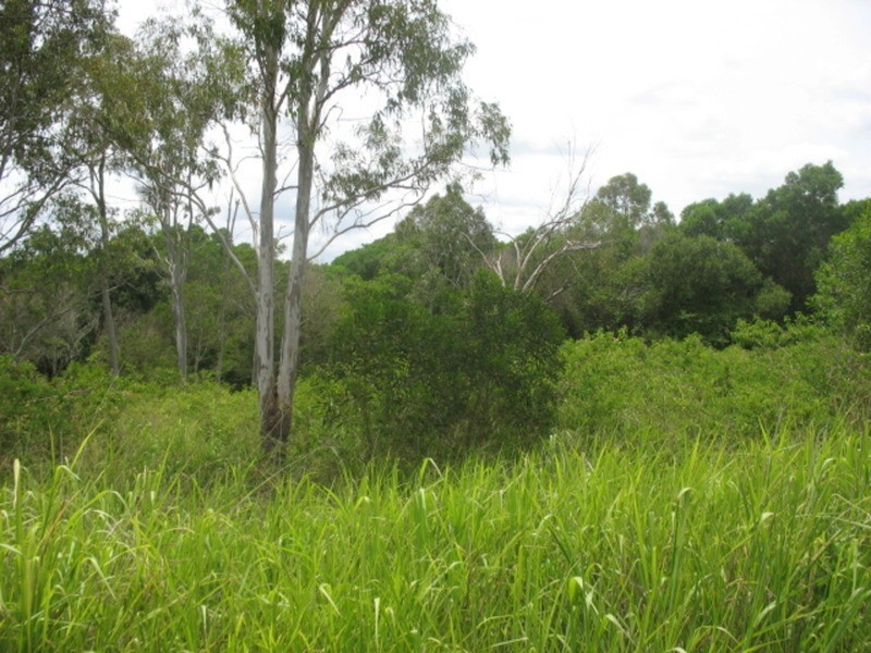 105 Madsens Road, Isis Central QLD 4660