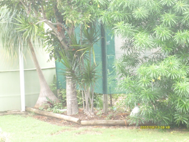 16 Little Main Street, Dallarnil QLD 4621