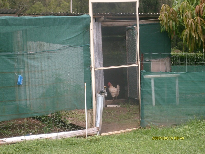 16 Little Main Street, Dallarnil QLD 4621