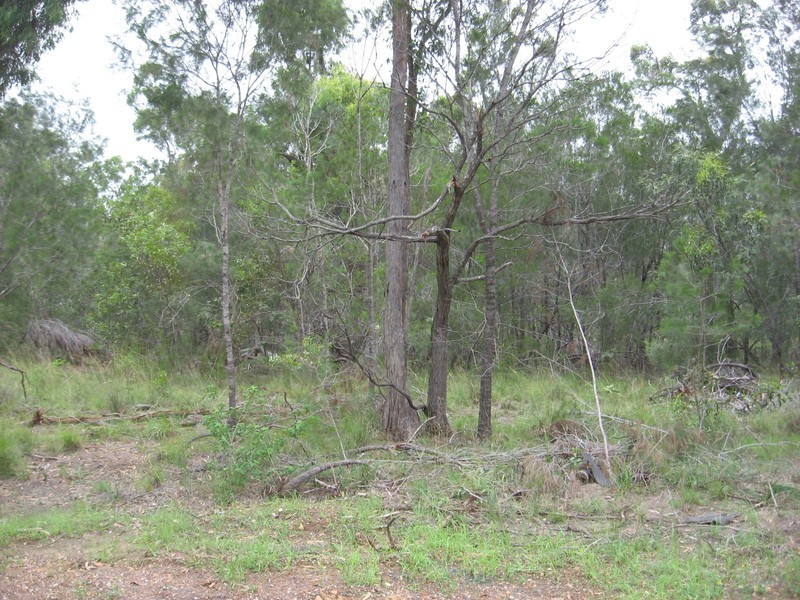 12 Mahogany Drive, Redridge QLD 4660