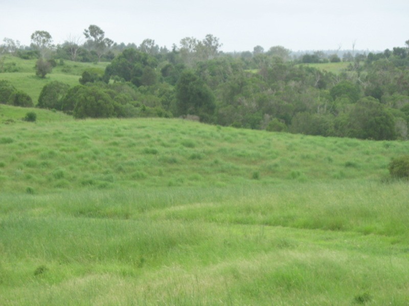 57 River Road, Bungadoo QLD 4671