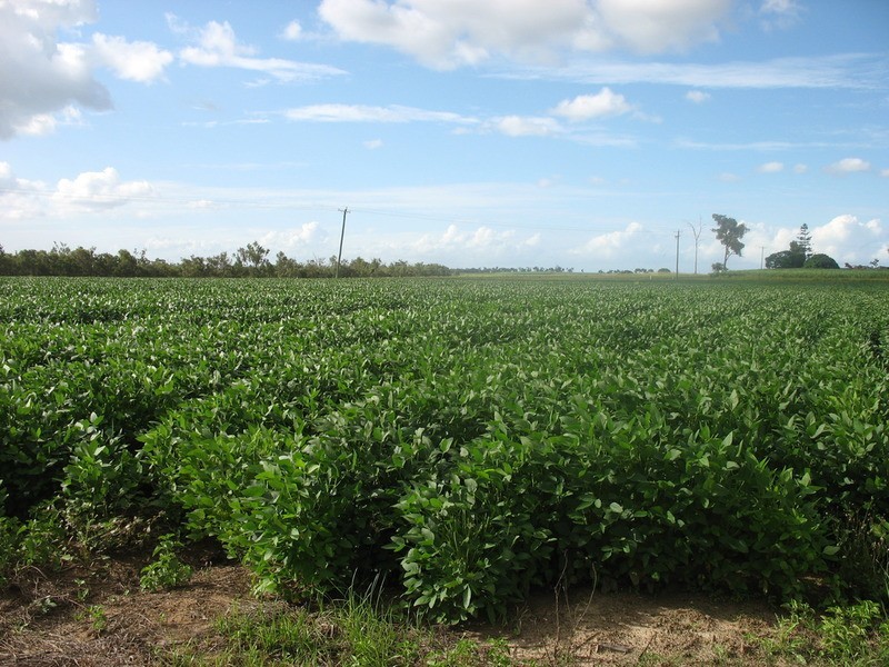 141  b Webbs Road, Childers QLD 4660