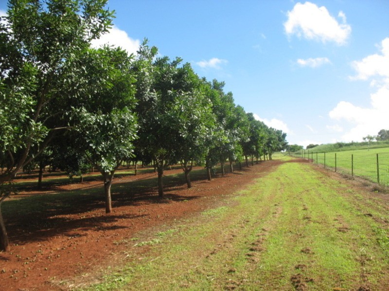 258 Atc Hall Road, North Isis QLD 4660