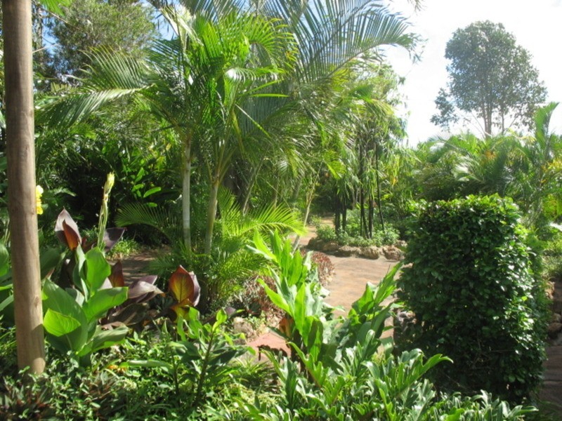 258 Atc Hall Road, North Isis QLD 4660