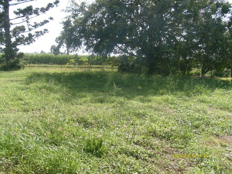 25  Churchill Street, Childers QLD 4660