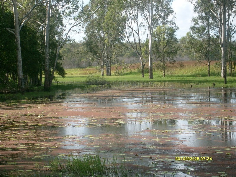 32515 Bruce Highway, Wallaville QLD 4671