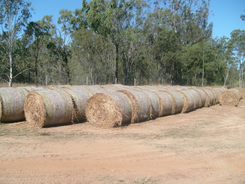 32515 Bruce Highway, Wallaville QLD 4671