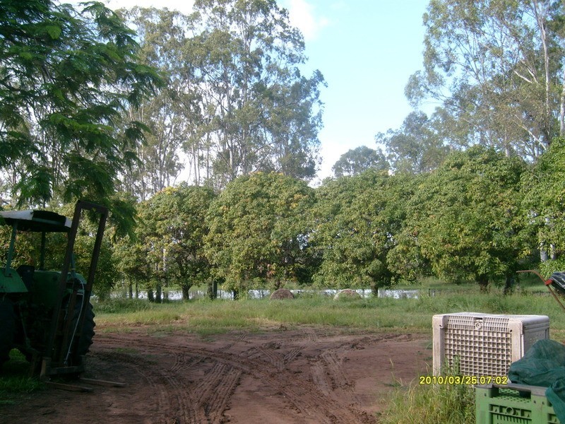 32515 Bruce Highway, Wallaville QLD 4671