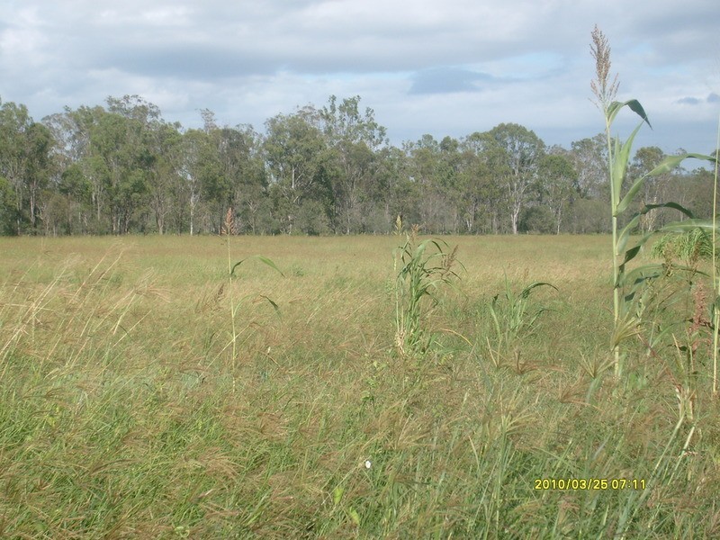 32515 Bruce Highway, Wallaville QLD 4671