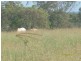 32515 Bruce Highway, Wallaville QLD 4671
