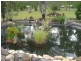 110 Sunnybrae Circuit, Redridge QLD 4660