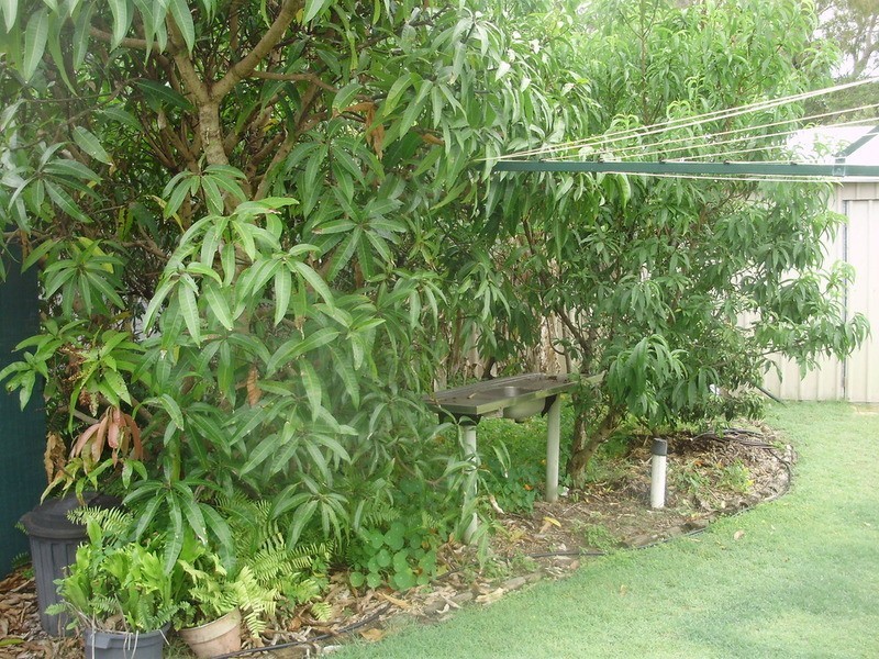 18 Banksia Court, Woodgate QLD 4660