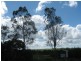 396 Butchers Road, Childers QLD 4660